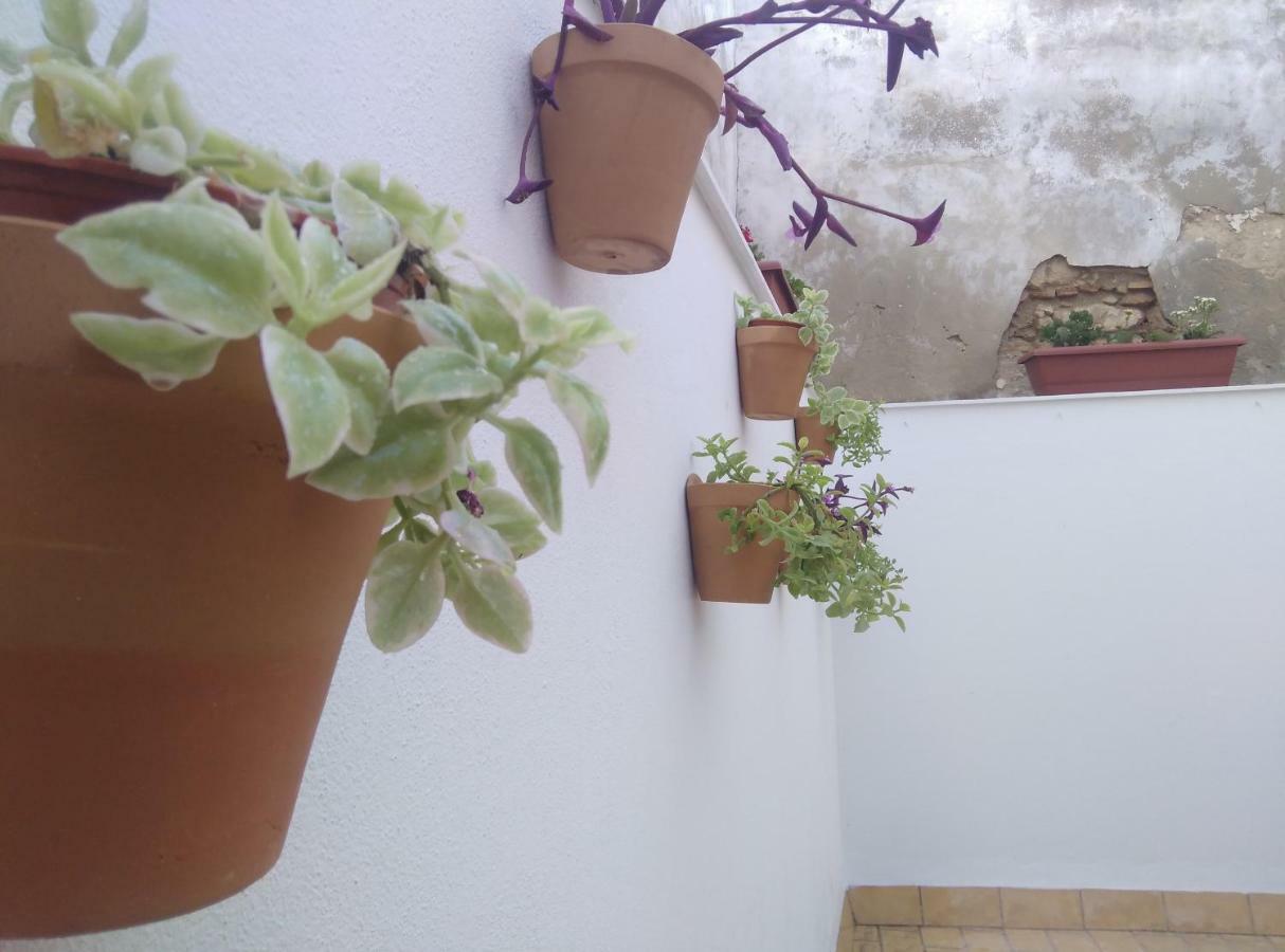 Apartamento Palo Cortao Jerez de la Frontera Buitenkant foto